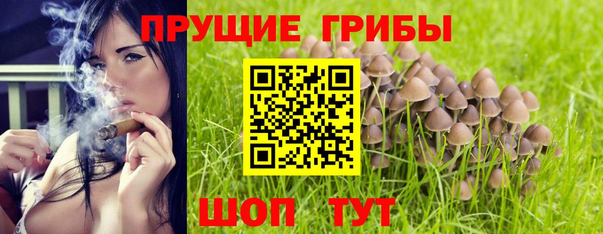 Белово  Галлюциногенные грибы мицелий  магазин    Вход с VPN 
